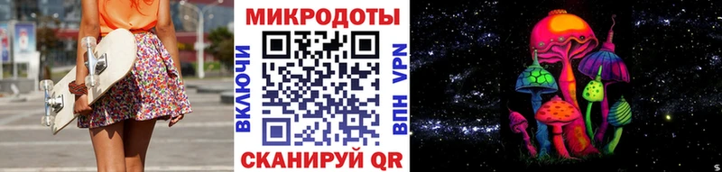 Псилоцибиновые грибы Psilocybine cubensis  Калуга 